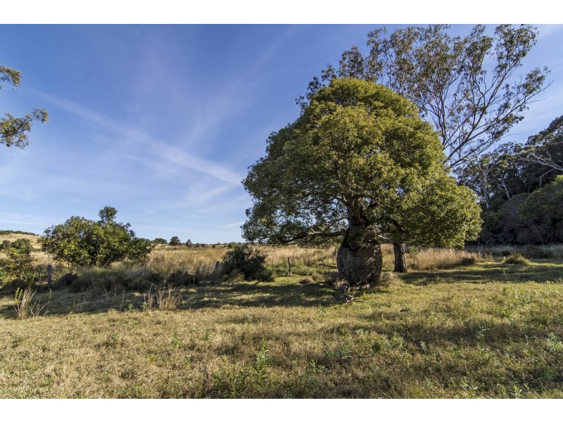 ” The Glen “, Maclagan QLD 4352