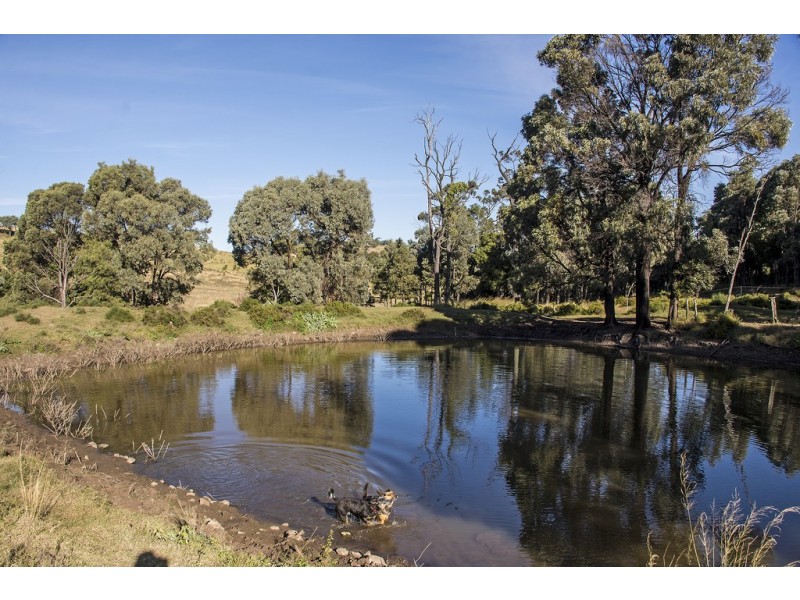 ” The Glen “, Maclagan QLD 4352