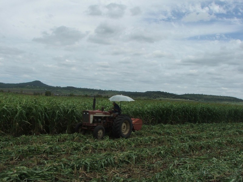 ” Narringa “, Linthorpe QLD 4356