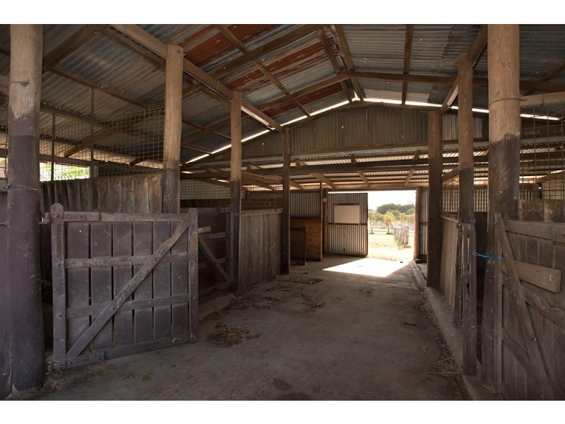 287 Hayden Street, Darling Heights QLD 4350