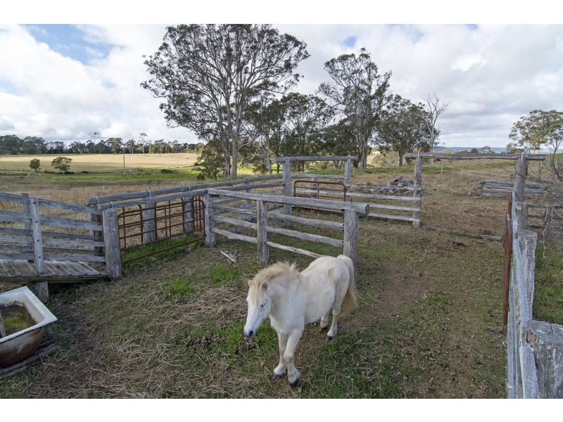 8 Rocklyn Street, Darling Heights QLD 4350