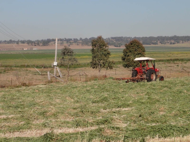 ” Willow Glen “, Oakey QLD 4401