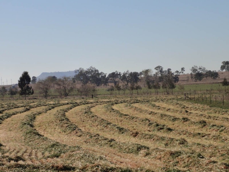 ” Willow Glen “, Oakey QLD 4401