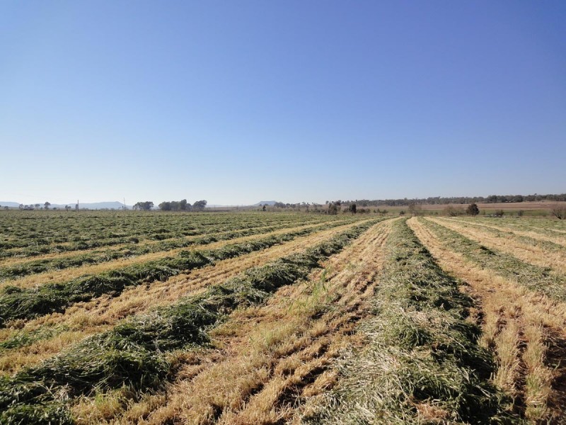 ” Willow Glen “, Oakey QLD 4401