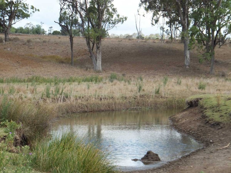 70 Willis Road, Meringandan West QLD 4352