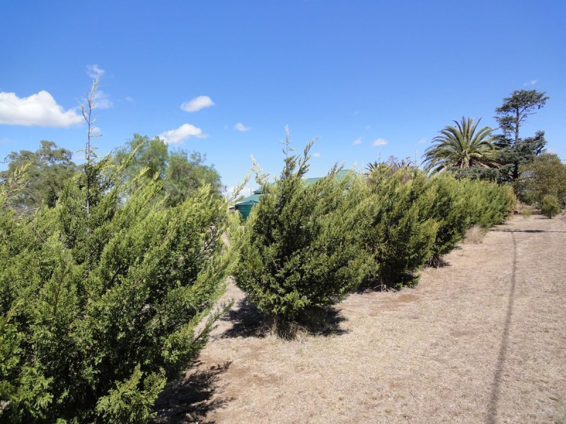 ” Glen View ” Mount Marshall, Allora QLD 4362