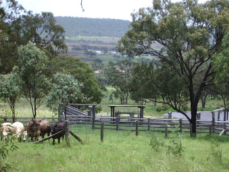 Waldron Road, Upper Pilton QLD 4361