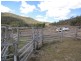 Waldron Road, Upper Pilton QLD 4361