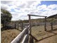 Waldron Road, Upper Pilton QLD 4361
