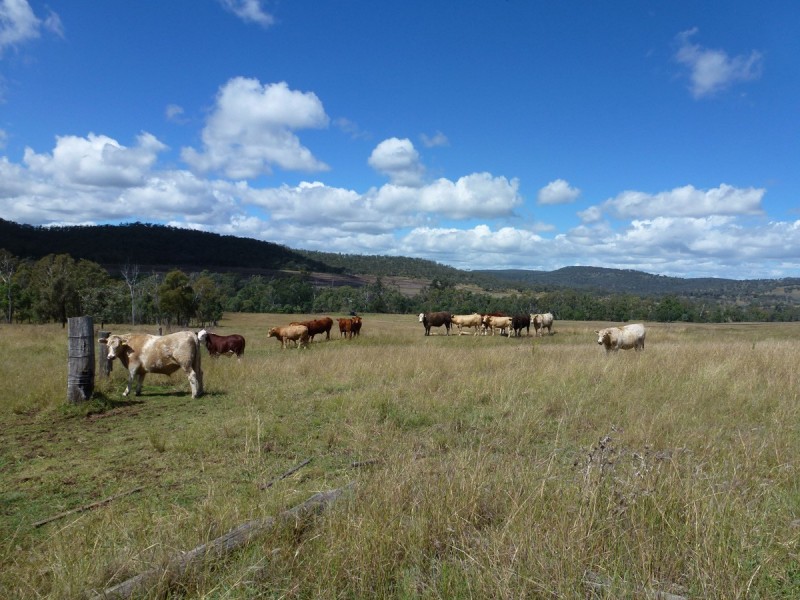 Waldron Road, Upper Pilton QLD 4361