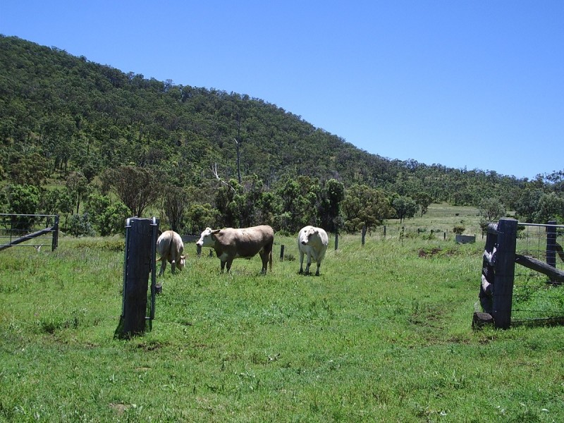 Waldron Road, Upper Pilton QLD 4361