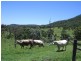 Waldron Road, Upper Pilton QLD 4361