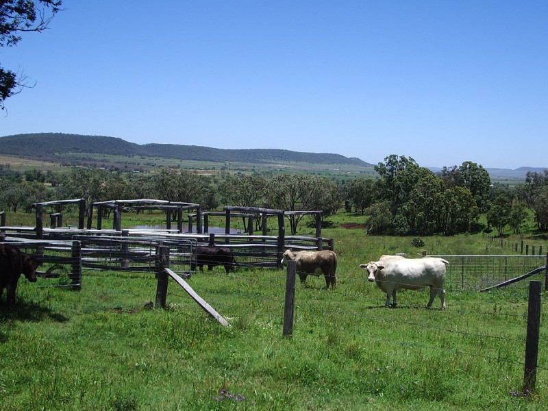 Waldron Road, Upper Pilton QLD 4361