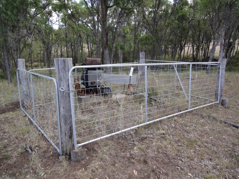 Waldron Road, Upper Pilton QLD 4361