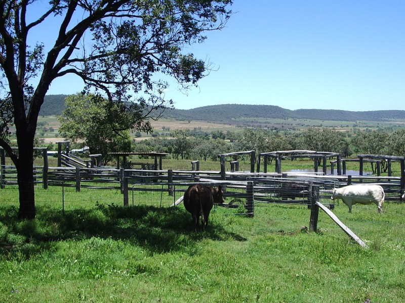 Waldron Road, Upper Pilton QLD 4361