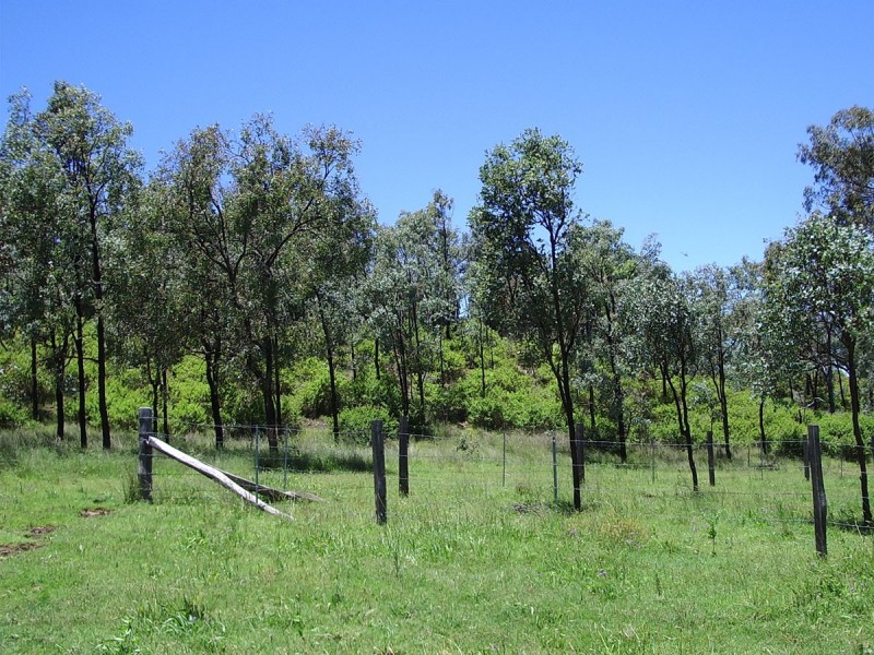 Waldron Road, Upper Pilton QLD 4361