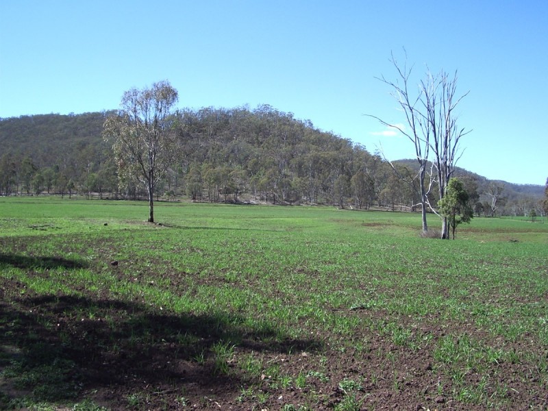 Waldron Road, Upper Pilton QLD 4361