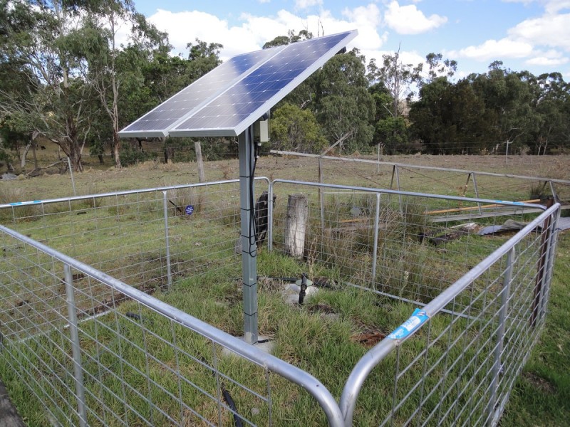 Waldron Road, Upper Pilton QLD 4361