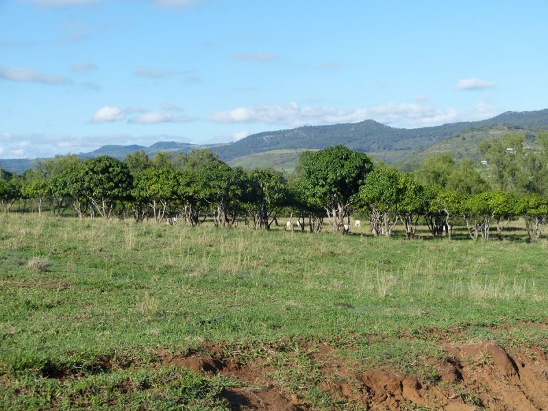 Upper Tenthill School Lane and Ingoldsby Road, Upper Tenthill QLD 4343
