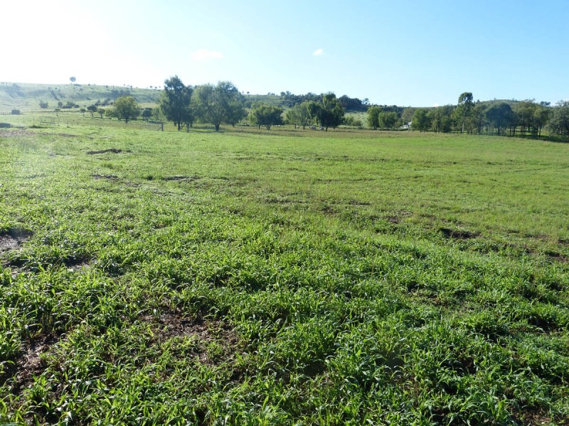Upper Tenthill School Lane and Ingoldsby Road, Upper Tenthill QLD 4343