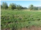 Upper Tenthill School Lane and Ingoldsby Road, Upper Tenthill QLD 4343