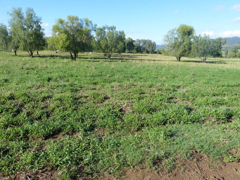 Upper Tenthill School Lane and Ingoldsby Road, Upper Tenthill QLD 4343