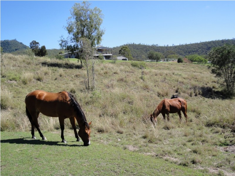 17 Meadows Road, Withcott QLD 4352