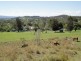 17 Meadows Road, Withcott QLD 4352