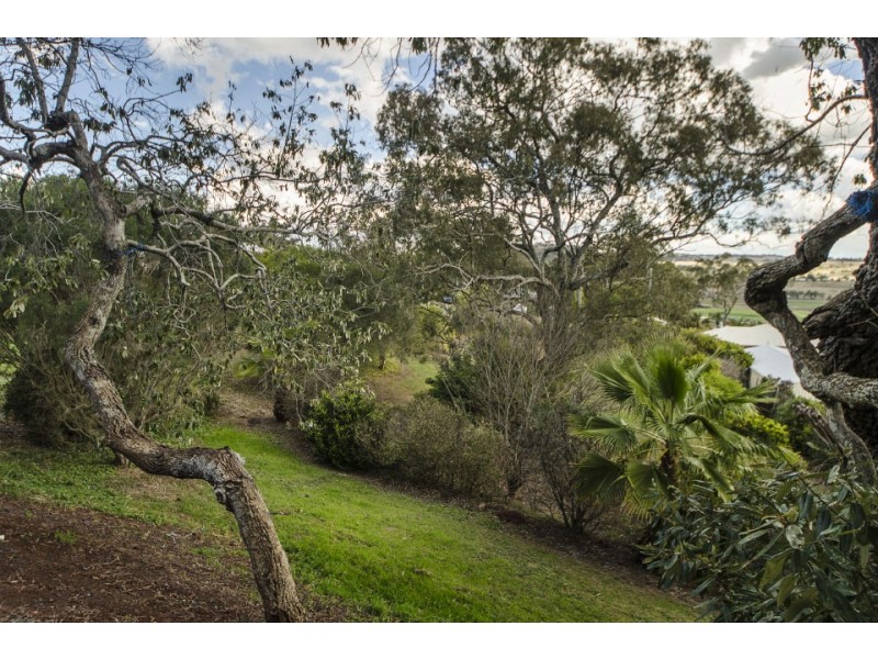 9 Scenic Court, Gowrie Junction QLD 4352