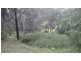 10 Gilmour Court, Harlaxton QLD 4350
