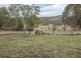 259 Hursley Road, Torrington QLD 4350
