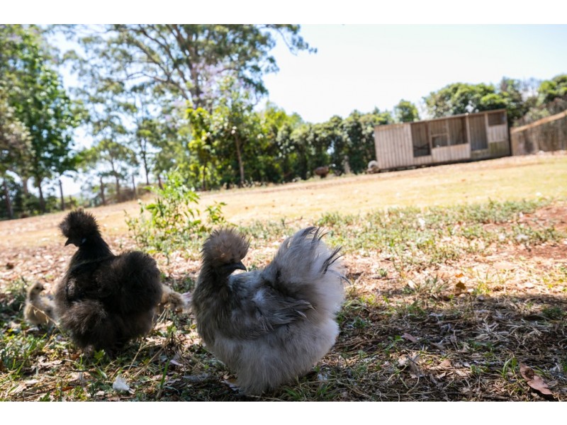 44 Kuhls Road, Highfields QLD 4352