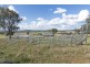 664 Wellcamp Westbrook Road, Westbrook QLD 4350