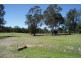 Bingie NSW 2537