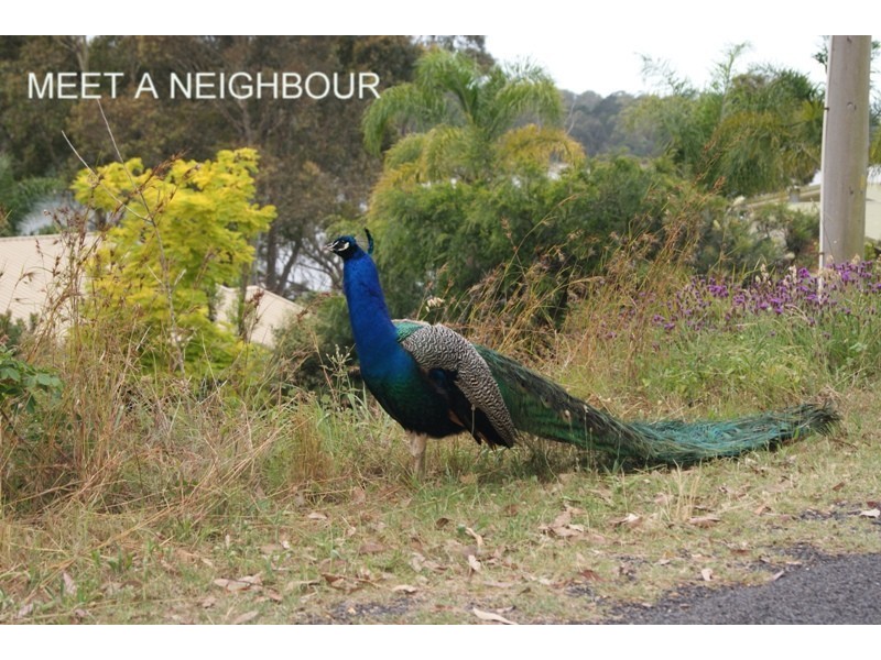 Moruya Heads NSW 2537