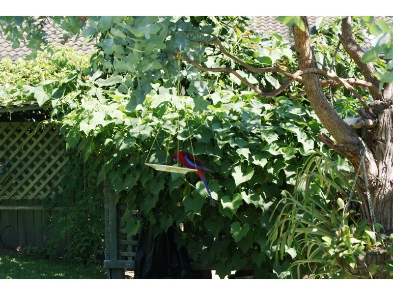 Sunshine Bay NSW 2536