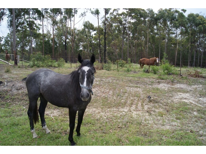 Moruya NSW 2537