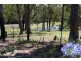 Moruya NSW 2537