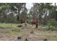 Moruya NSW 2537