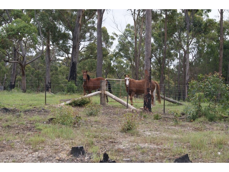 Moruya NSW 2537