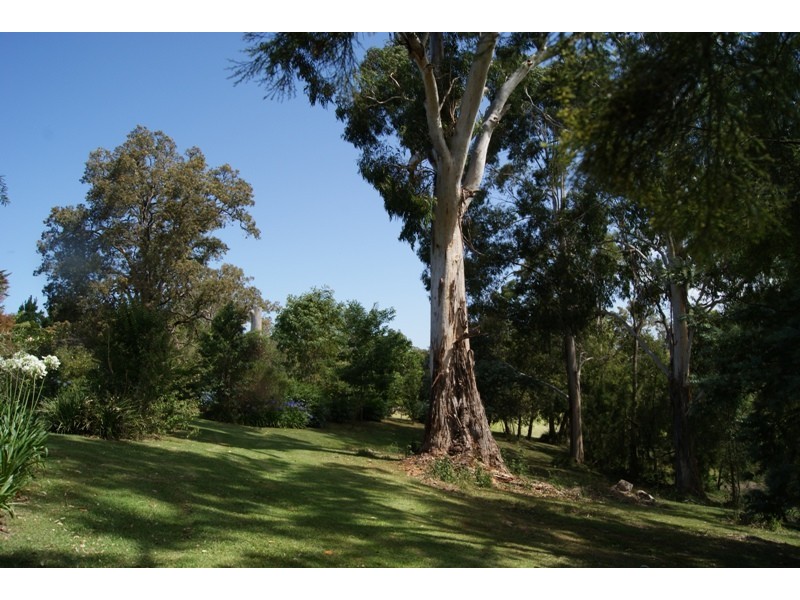 Moruya NSW 2537