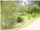 Bergalia NSW 2537