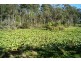 North Batemans Bay NSW 2536