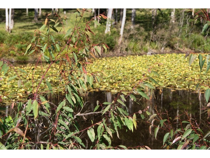 North Batemans Bay NSW 2536