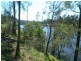 Moruya NSW 2537