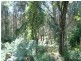 Moruya NSW 2537