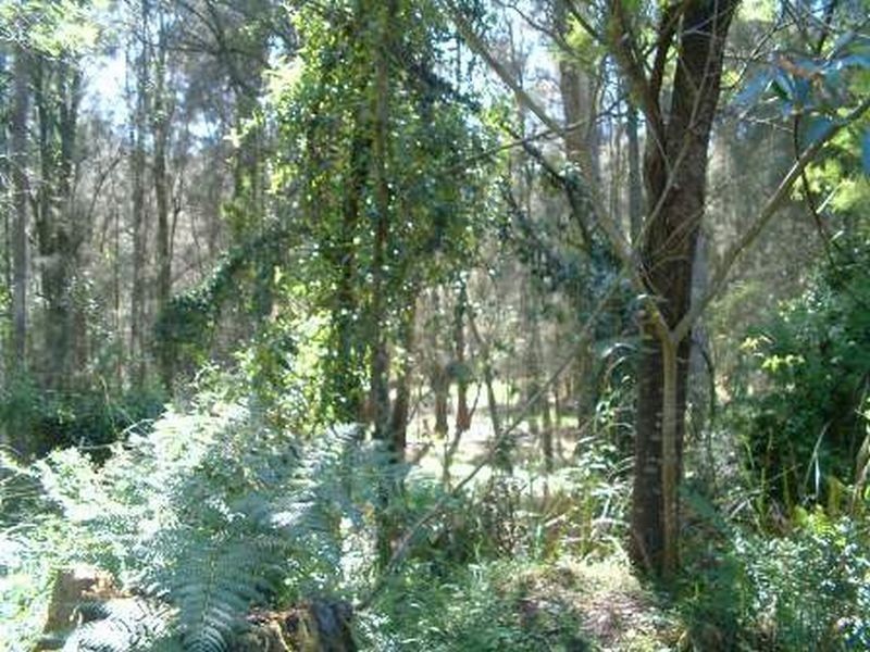 Moruya NSW 2537