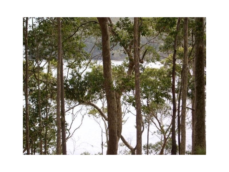 Kings Point NSW 2539