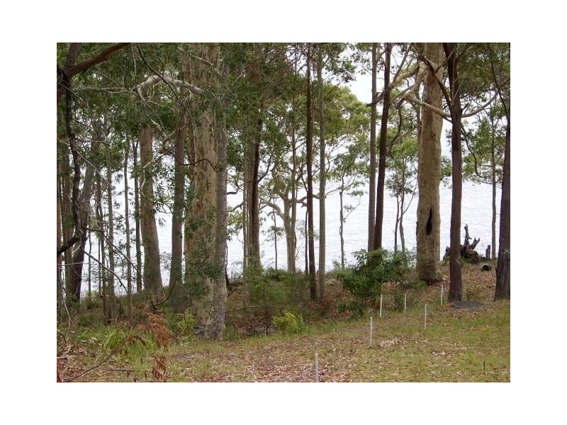 Kings Point NSW 2539