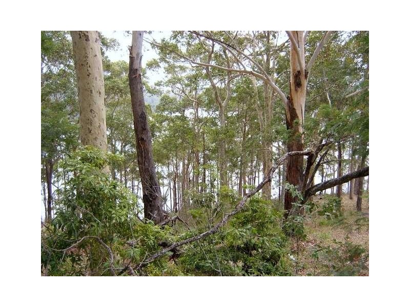 Kings Point NSW 2539